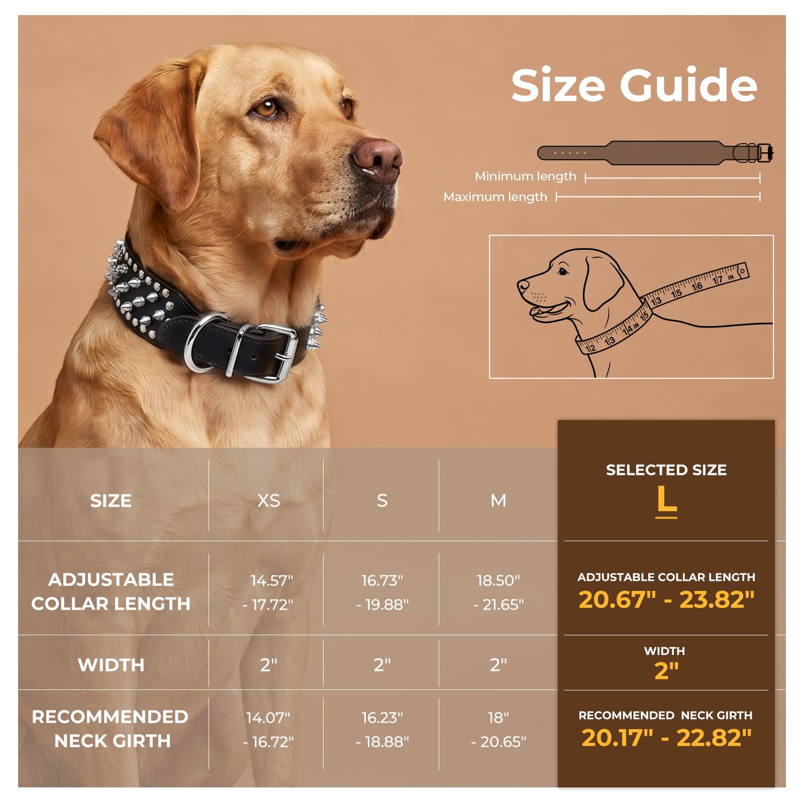 Frienhund gros plan pointes cloutées, dissuasion et solidité accrue