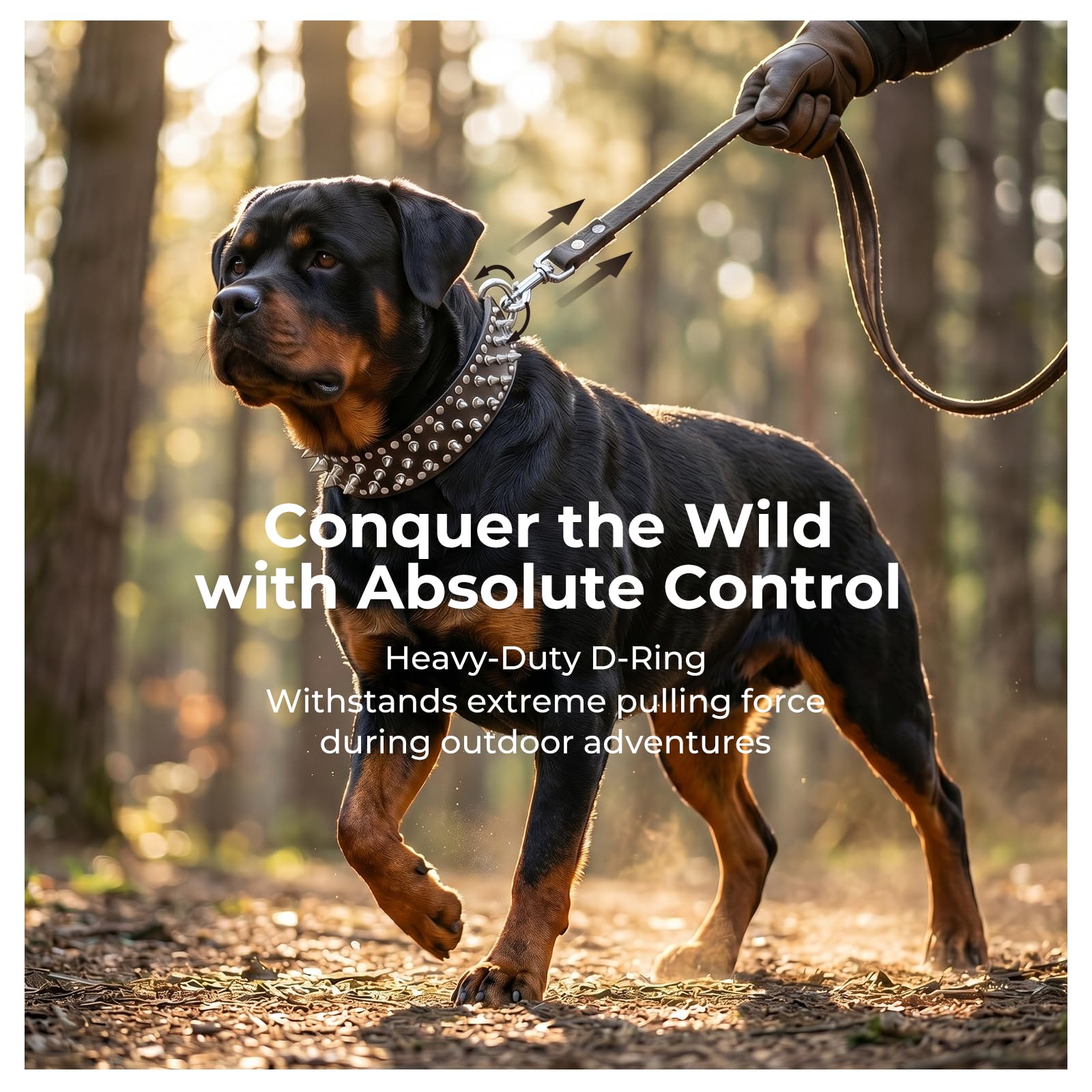 Frienhund texture PU cuir, imperméable et facile à nettoyer