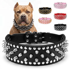 Frienhund collier face avant, style audacieux et protection visible