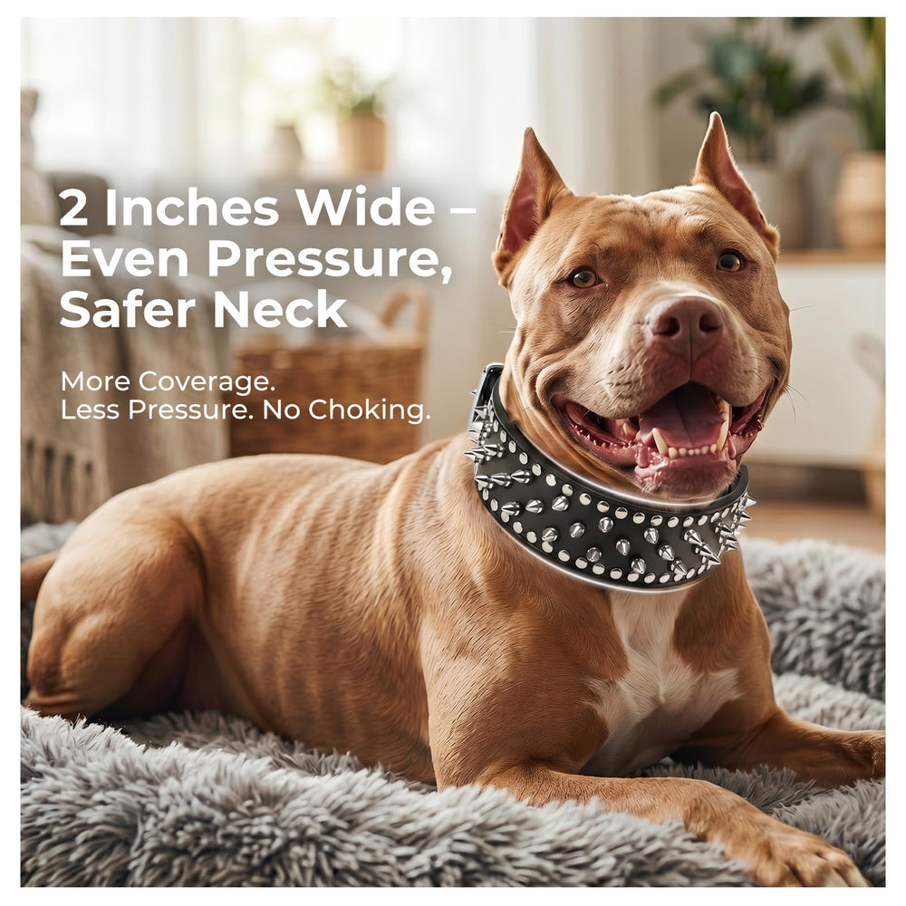 Frienhund collier porté sur grand chien, confort et coupe adaptée