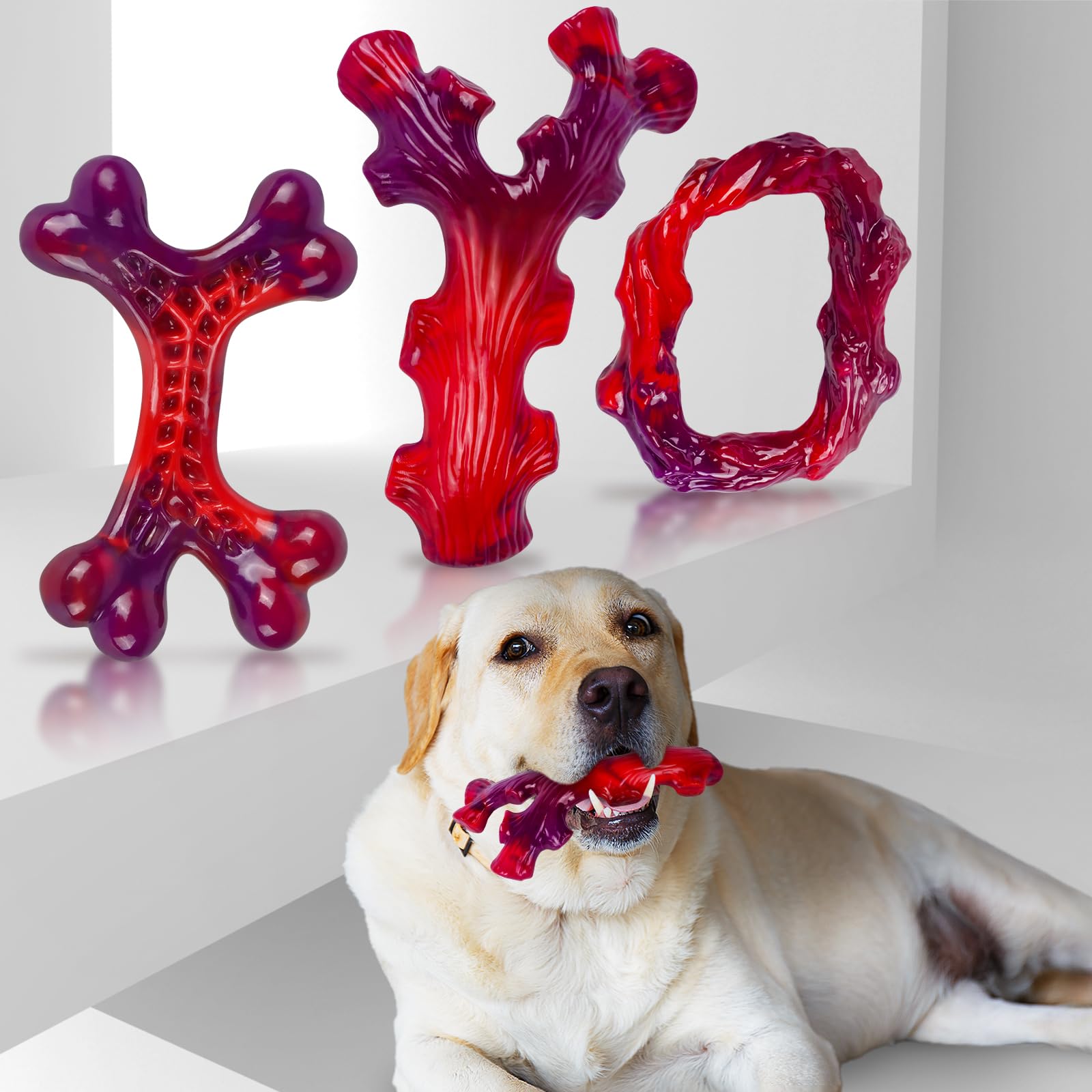 Frienhund os propre dans un lave-vaisselle pour nettoyage facile et rapide