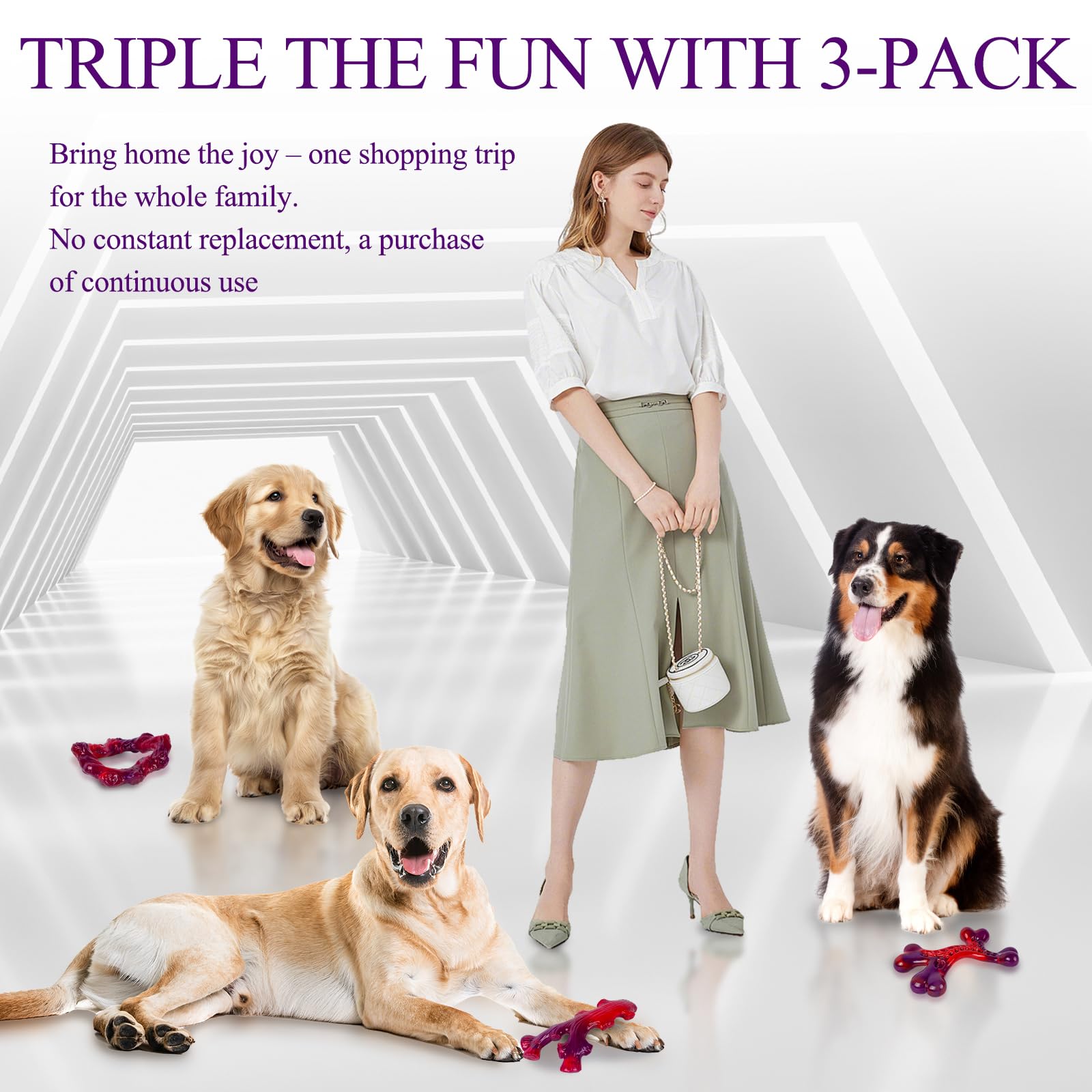 Frienhund os tenu en main pour comparer taille et robustesse pour grands chiens