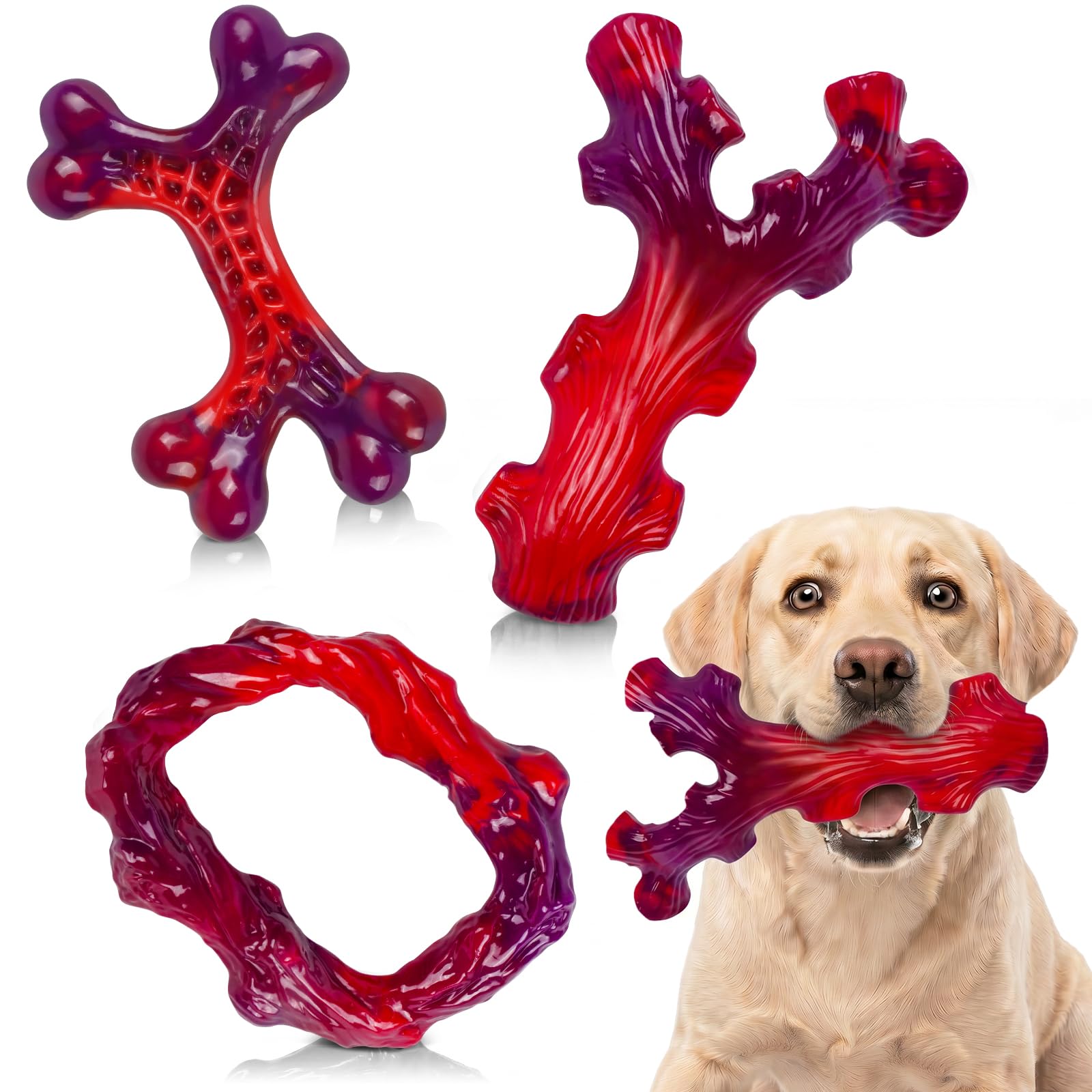 Frienhund vue avant de l'os en nylon robuste montrant la forme durable