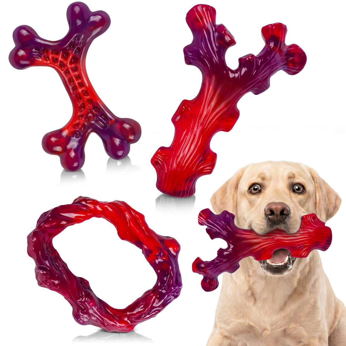 Frienhund vue avant de l'os en nylon robuste montrant la forme durable