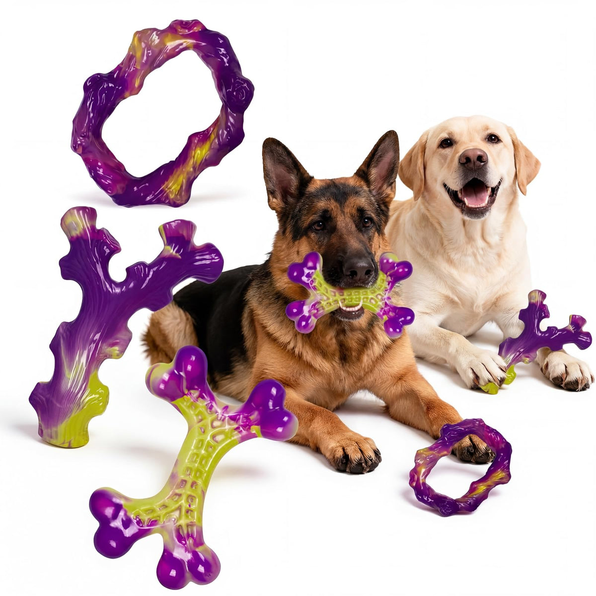 Frienhund coffret de six jouets robustes montrant l'emballage et le contenu, durable