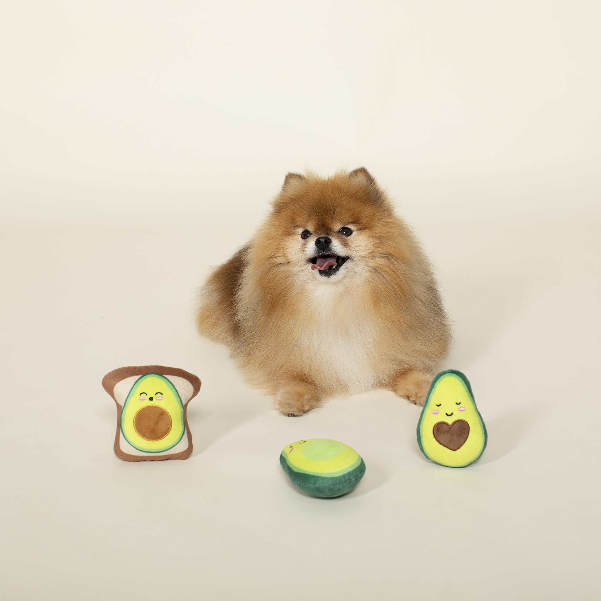 Fringe jouet en usage avec petit chien rapportant l'avocat, stimule le jeu interactif