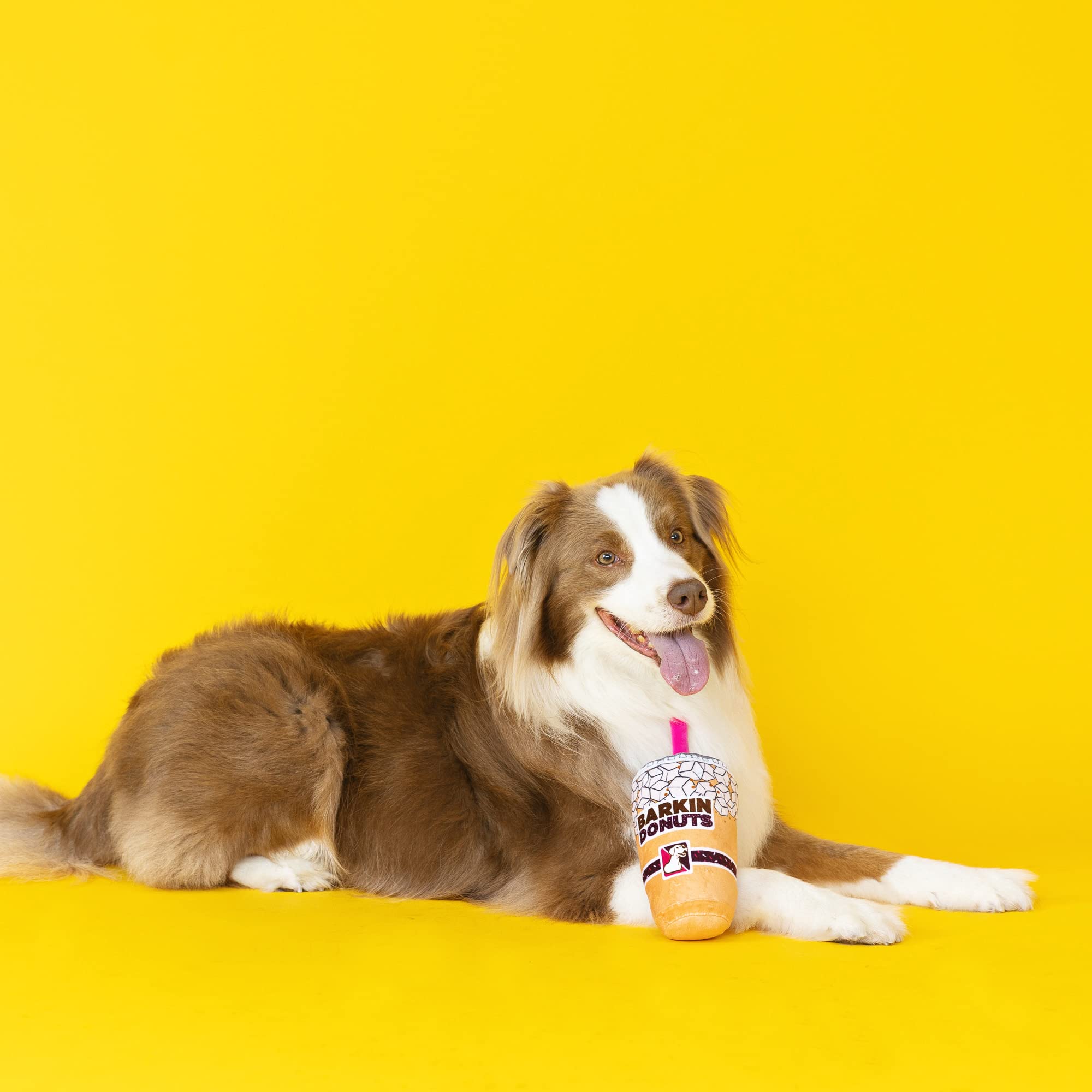 Fringe Barkin Donuts en usage chien rapportant jouet stimulant