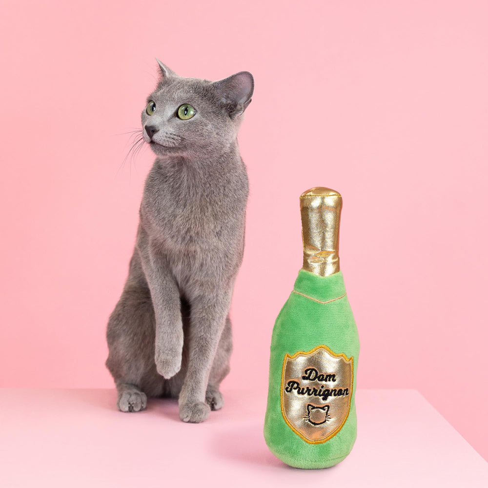 Fringe Dom Purrignon utilisé par un chat encourageant le jeu actif
