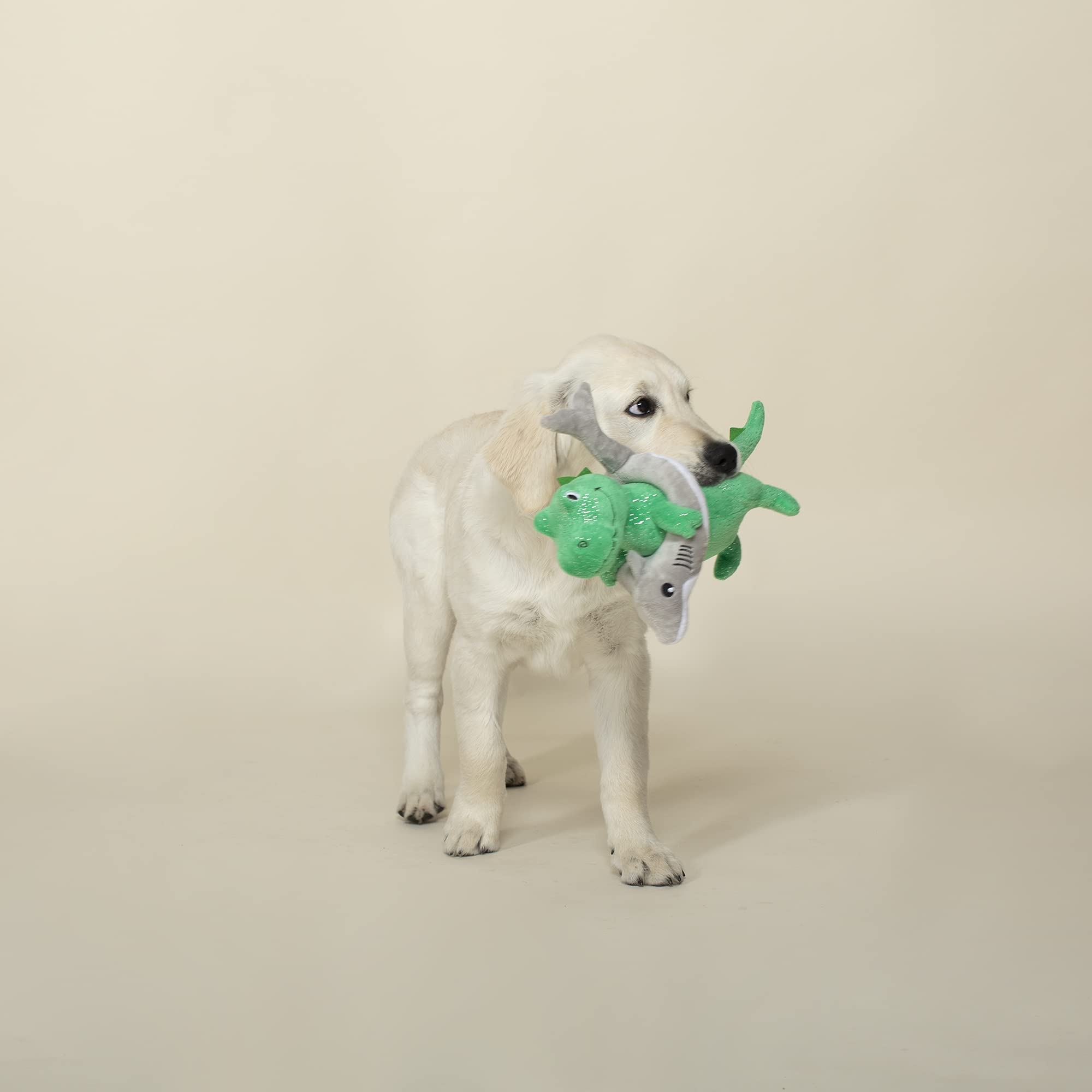 Fringe Shark Week REX chien jouant stimule rapport et exercice actif