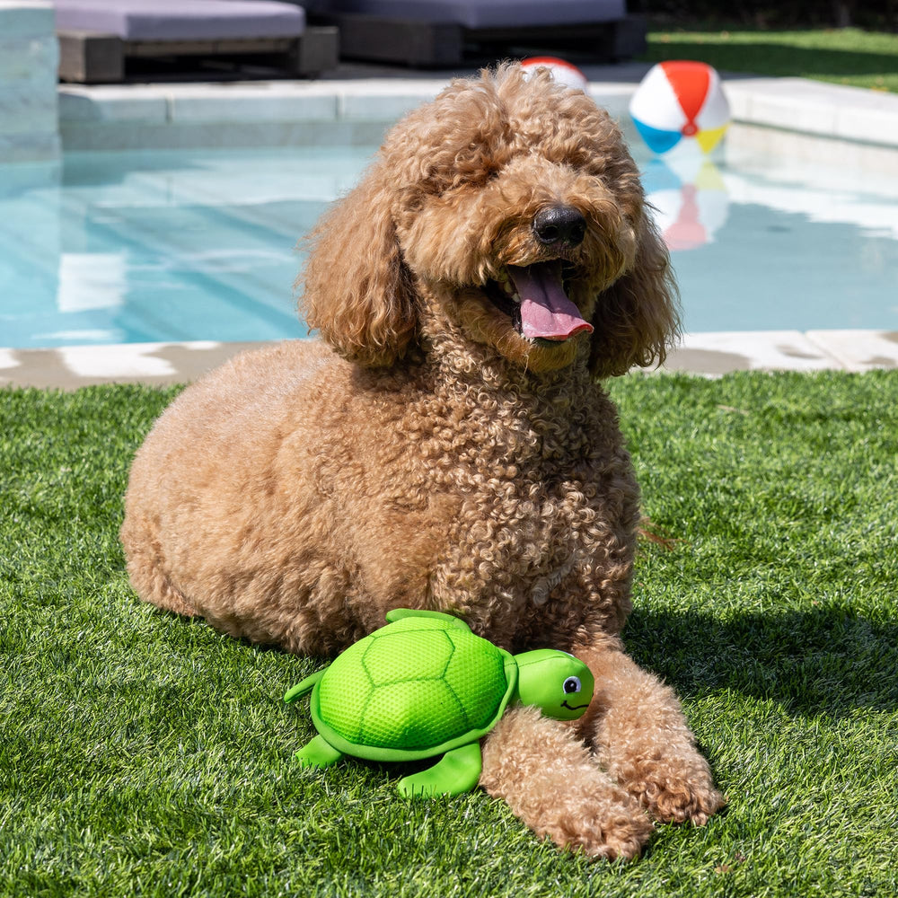 Fringe Snappy comparaison d'échelle montrant dimensions adaptées pour chiens