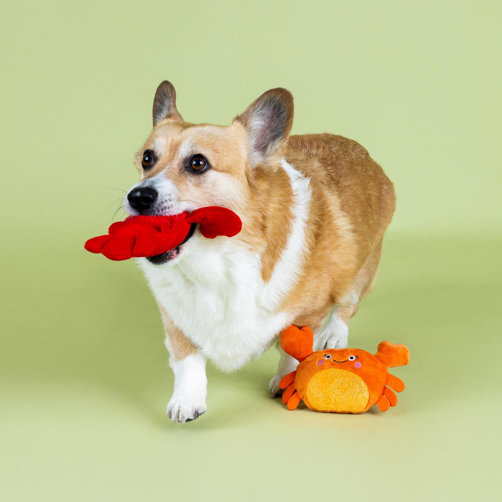 Fringe Studio comparaison d’échelle montrant tailles adaptées aux petits chiens