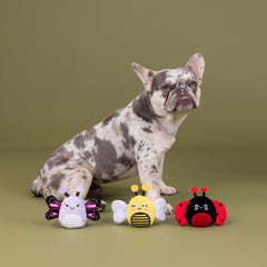 Fringe Studio jouet en utilisation avec petit chien ravi tenant la peluche