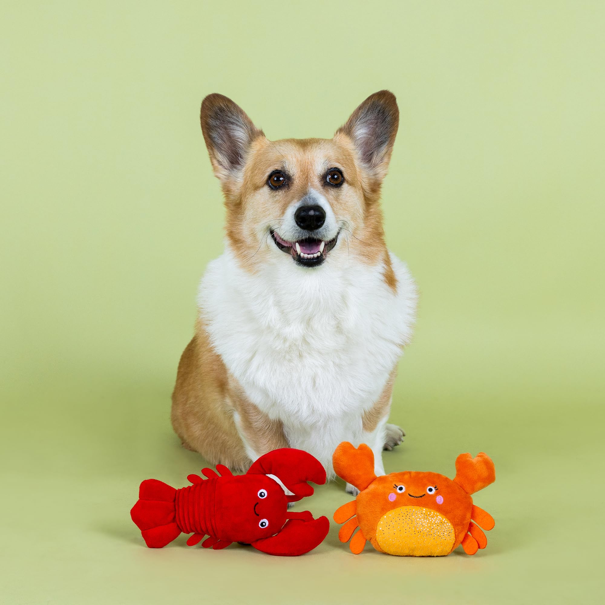 Fringe Studio jouet en usage avec chien illustrant jeu et interaction sécurisée