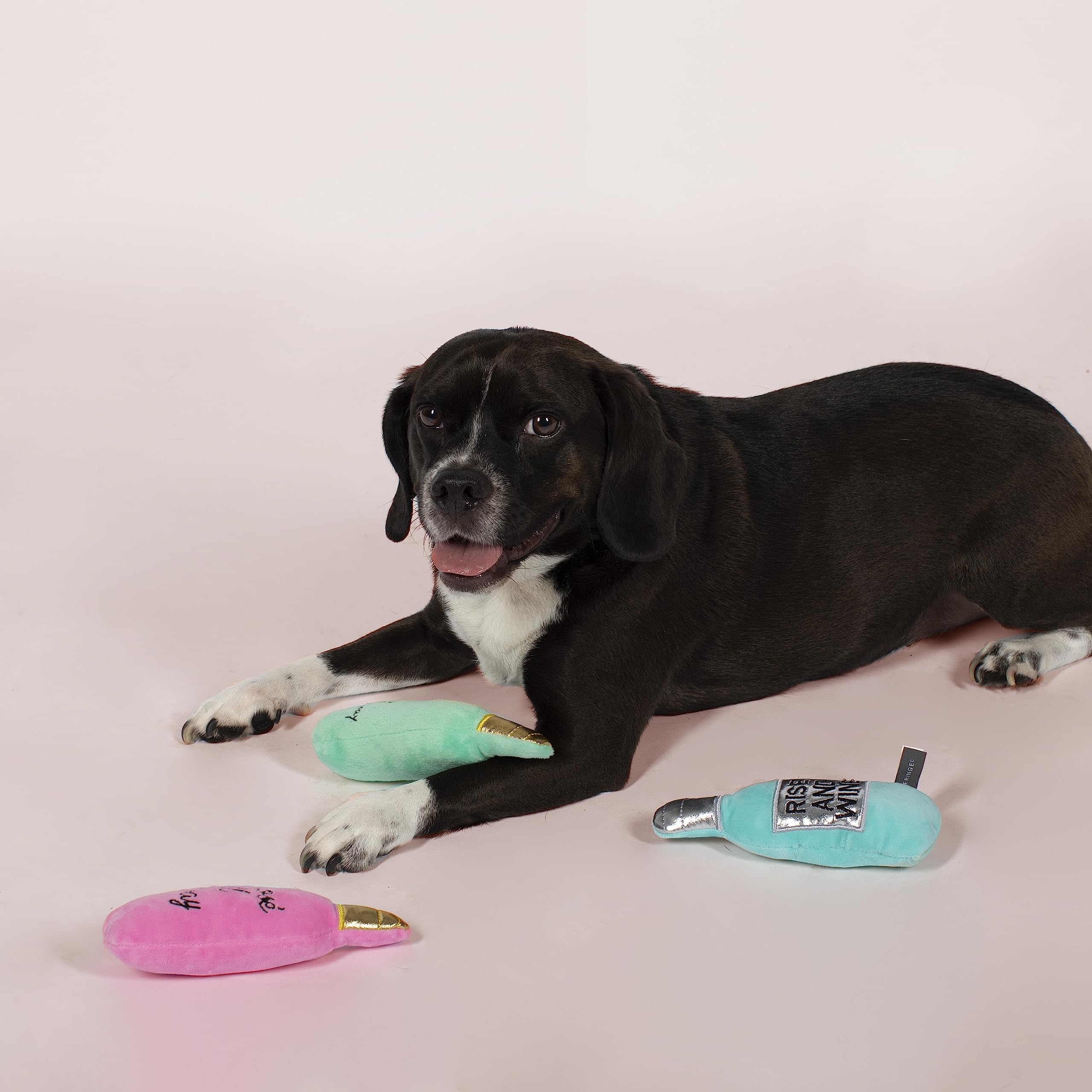 Fringe jouet en usage avec petit chien illustrant stimulation et jeu interactif