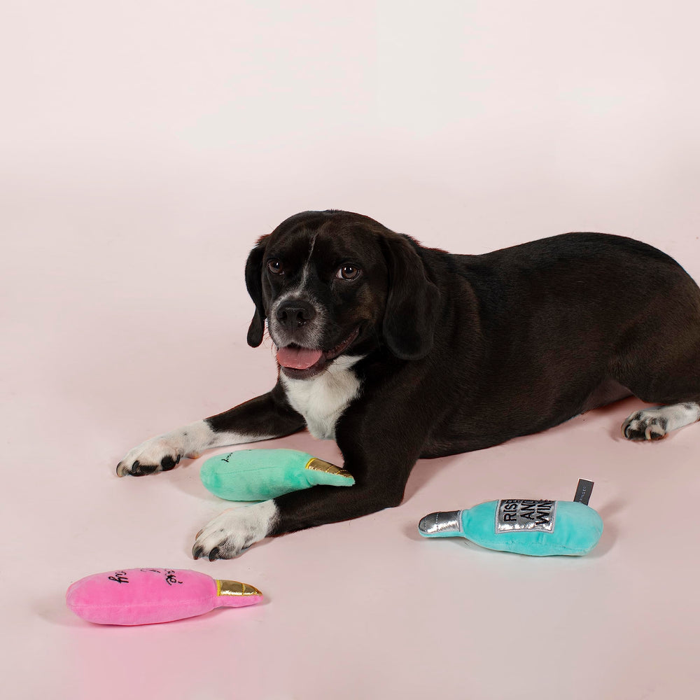 Fringe jouet en usage avec petit chien illustrant stimulation et jeu interactif