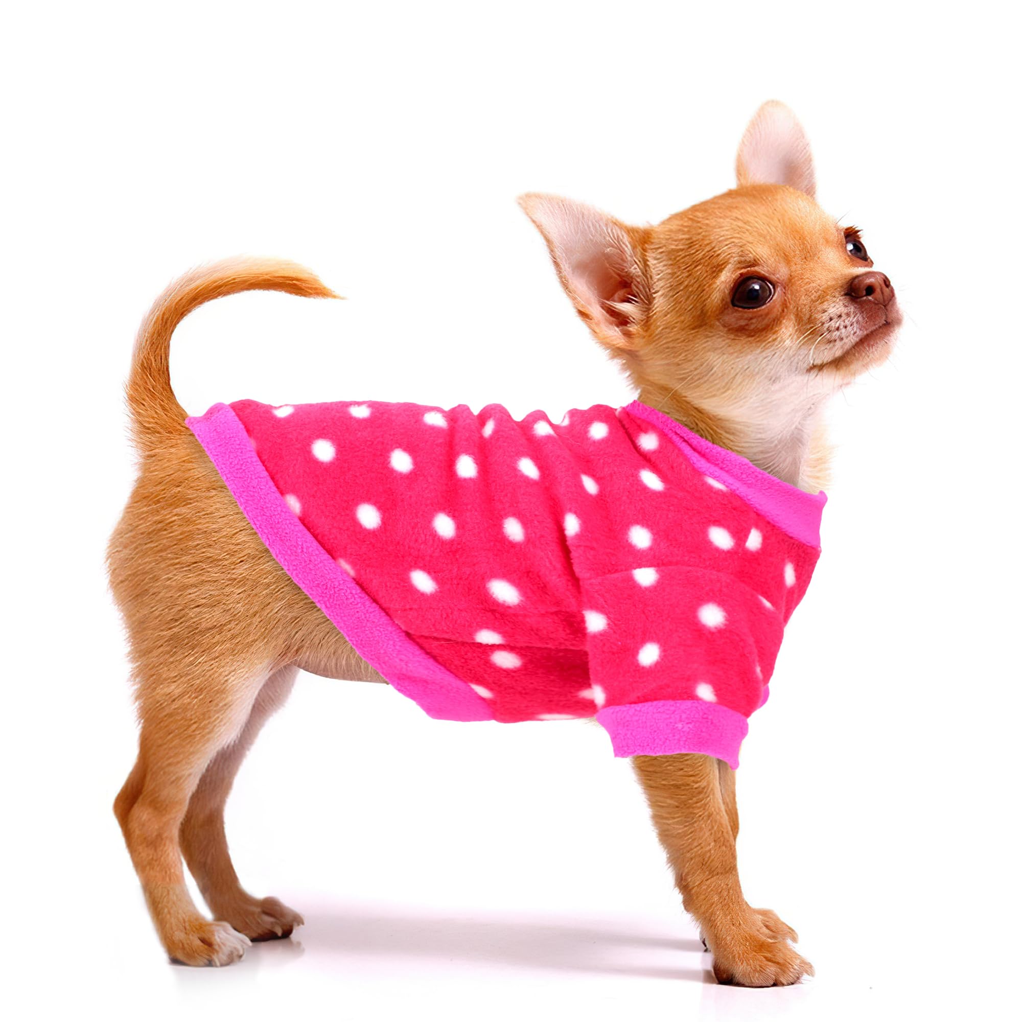 Friofmuy petit chihuahua portant pull XXS pour promenades chaleureuses