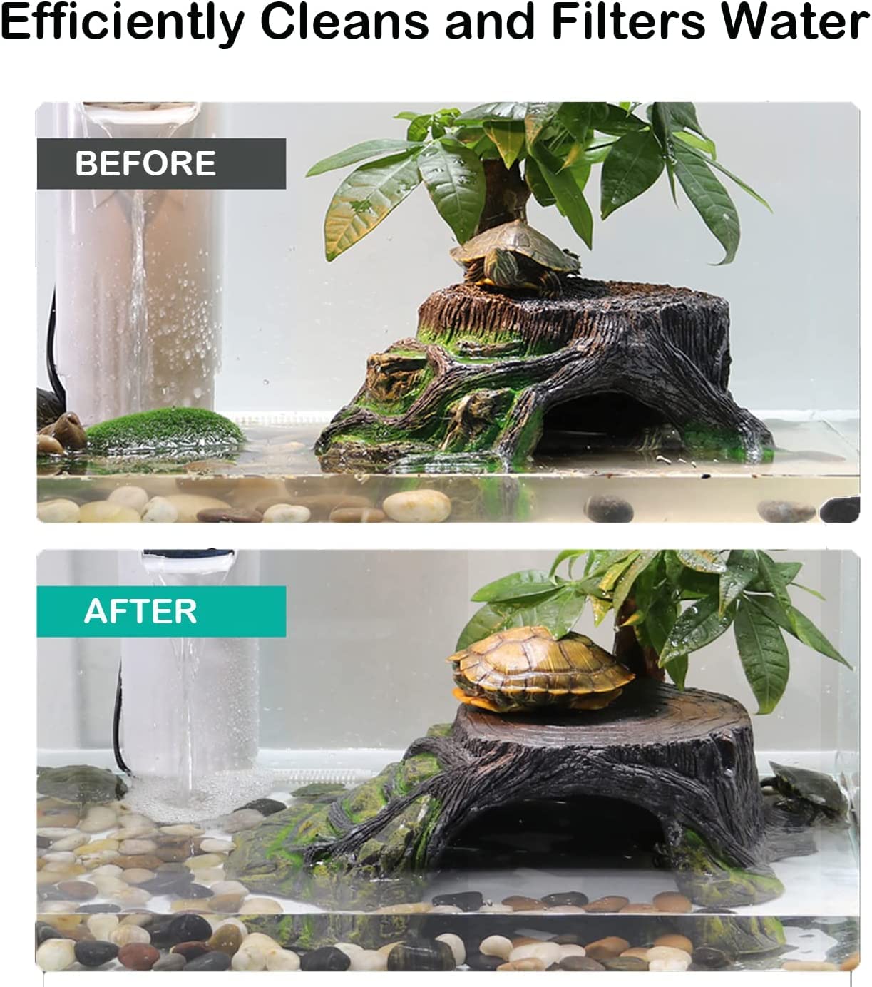 FRIRODSAY aquarium avec amphibiens installation discrète et environnement sain