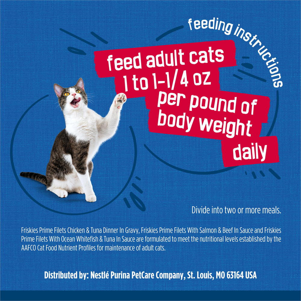 Friskies chat mange dans une assiette montrant plaisir alimentaire