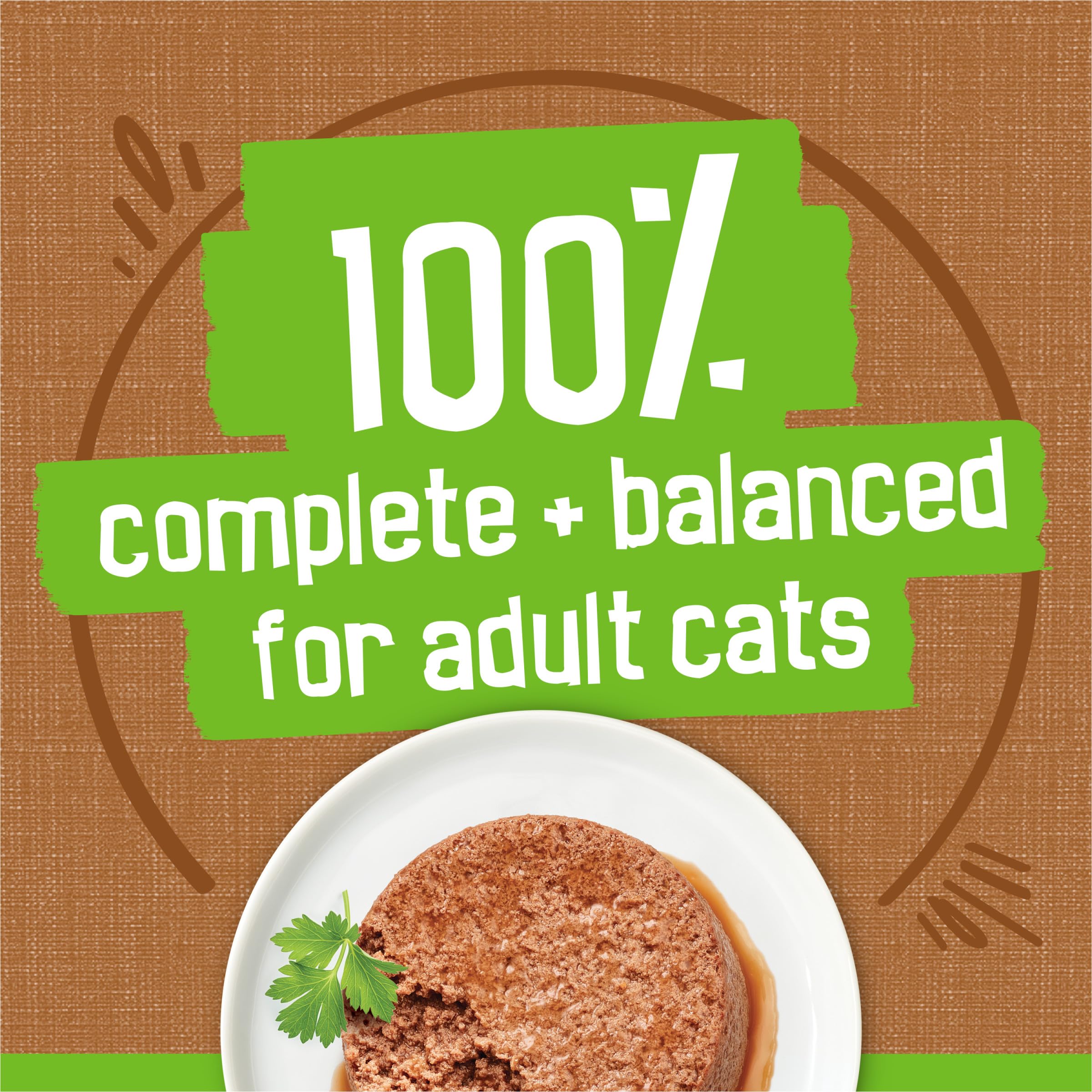 Friskies chat dégustant la pâté illustrant l’acceptation par l’animal