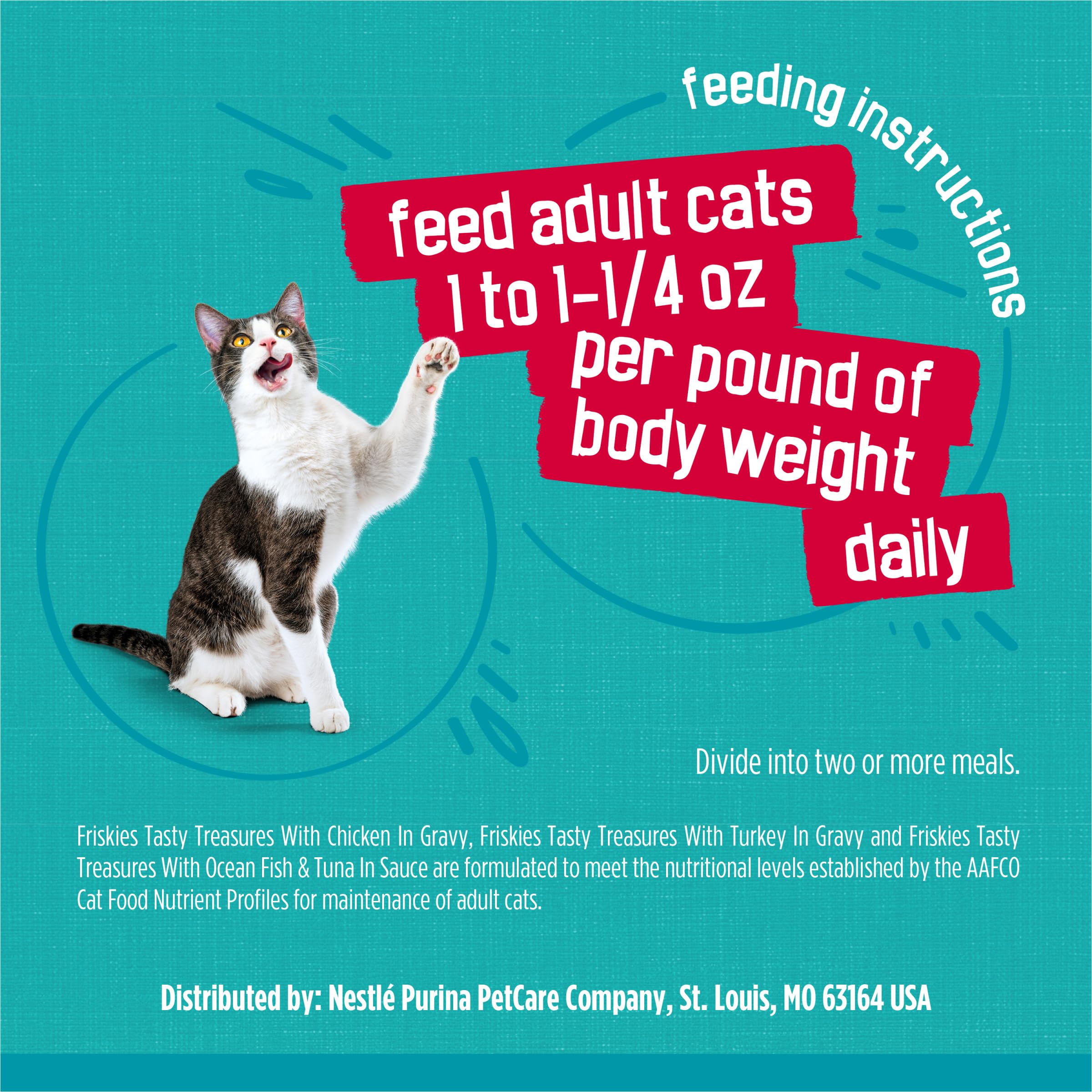 Friskies chat qui mange montrant plaisir et acceptation de la recette