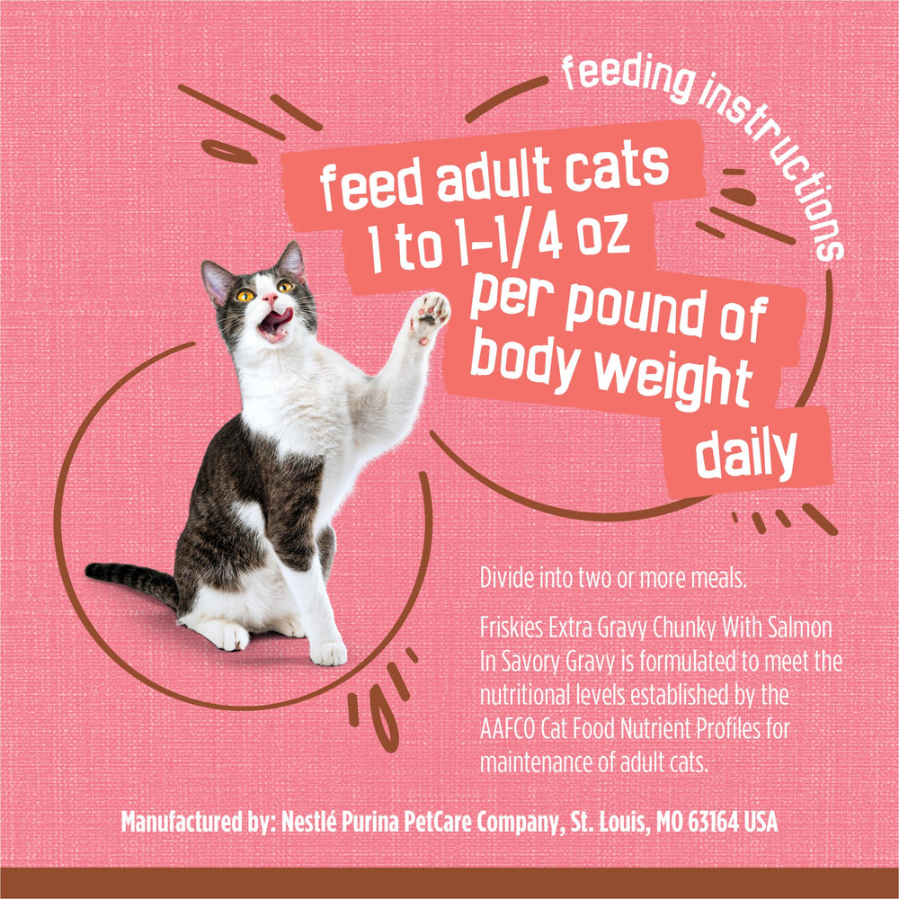 Friskies chat mange dans une coupelle montrant plaisir du repas