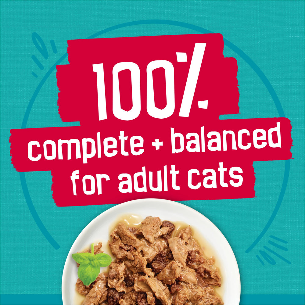 Friskies boîte tenue en main pour comparaison de taille et portion pratique