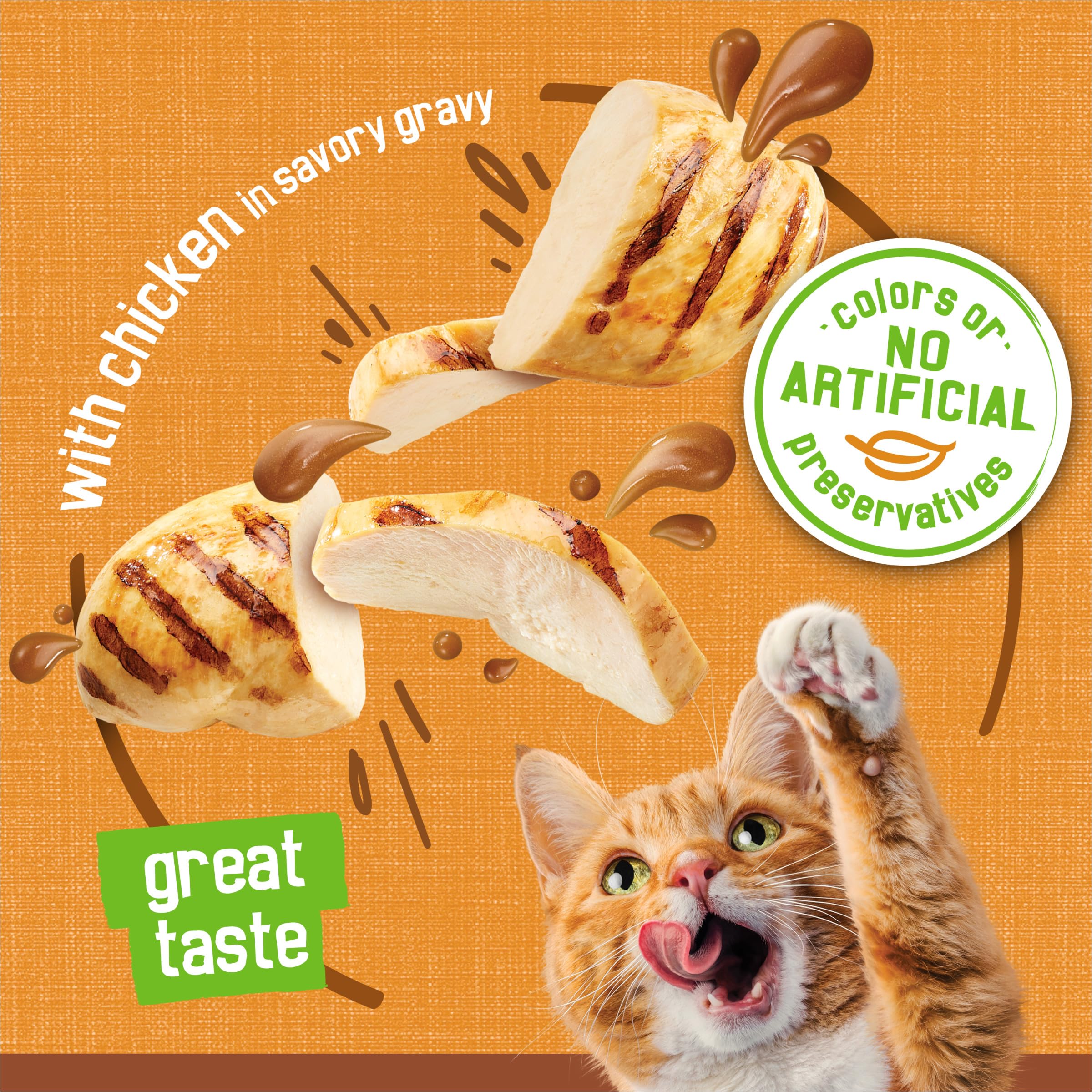 Friskies contenu servi dans une assiette, stimule l'appétit du chat