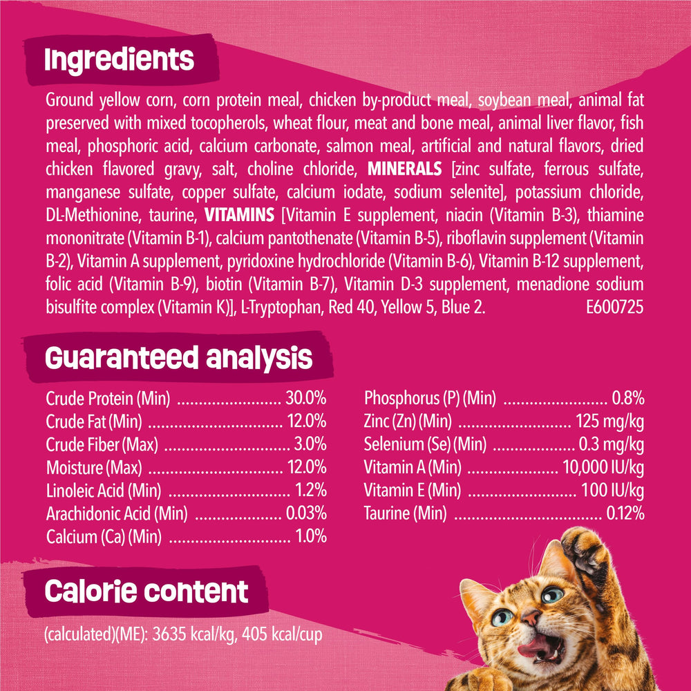 Bol rempli de croquettes Friskies stimulant l'appétit du chat