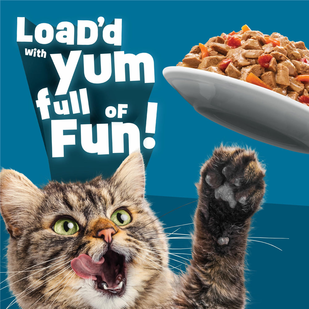 Friskies dans gamelle servi prêt à manger pour hydratation et goût