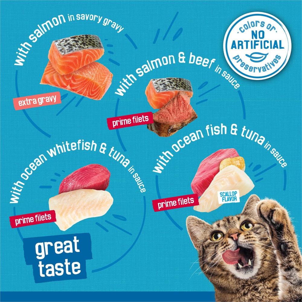 Friskies présentation des quatre recettes pour varier les repas