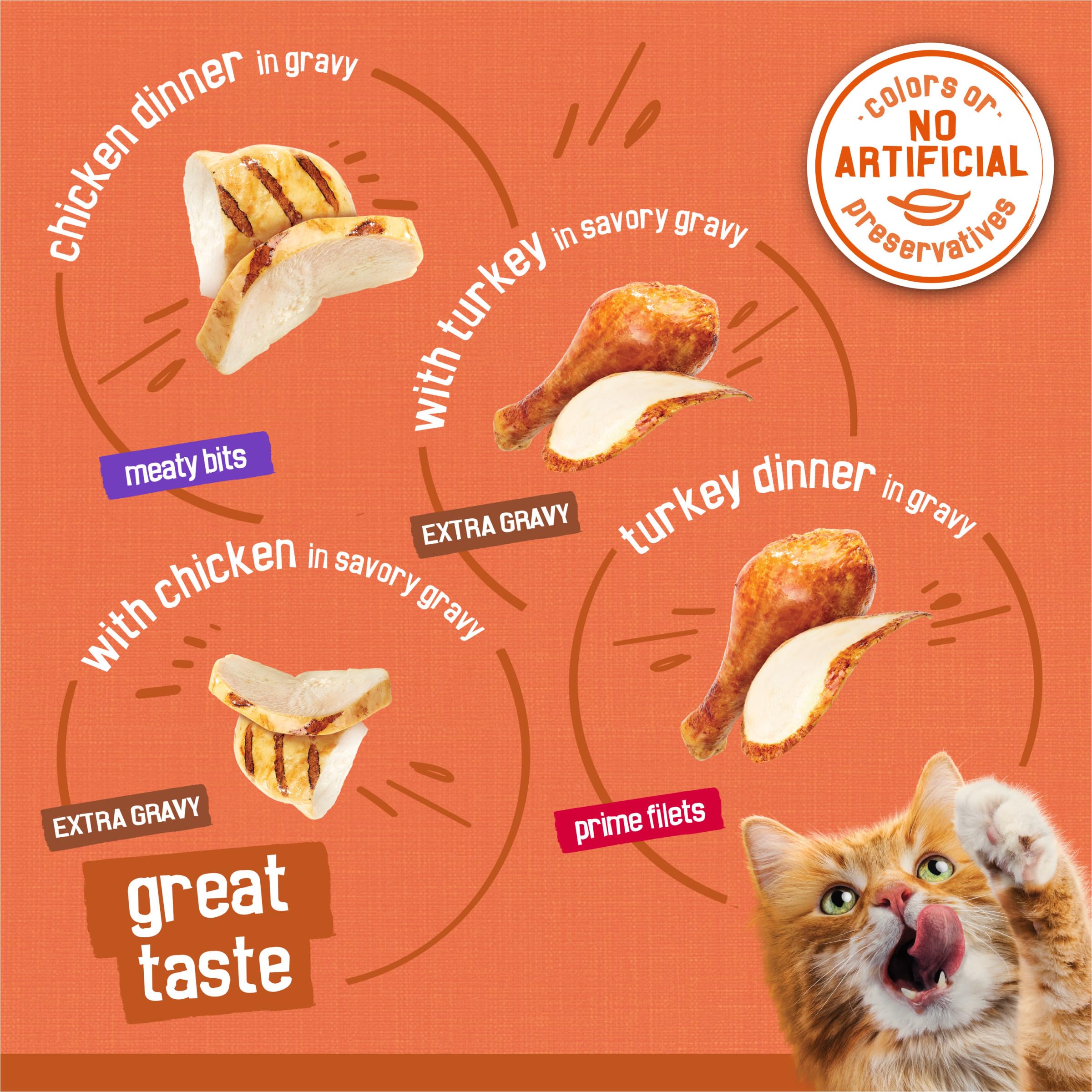 Friskies effiloché de dinde en gros plan, arôme riche qui attire le chat