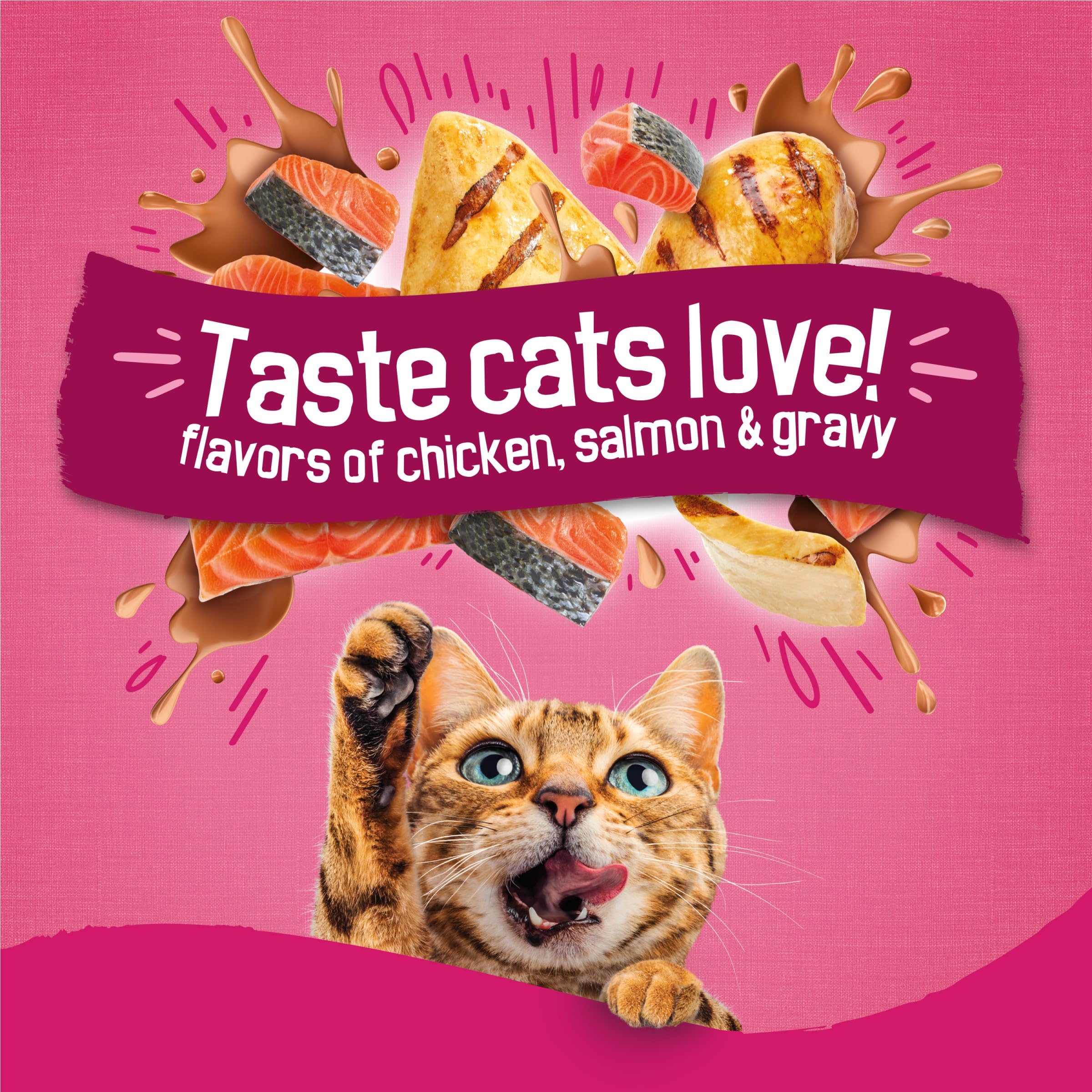 Gros plan Friskies sur tourbillons de gravy montrant attrait gustatif