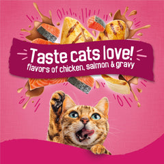 Gros plan Friskies sur tourbillons de gravy montrant attrait gustatif