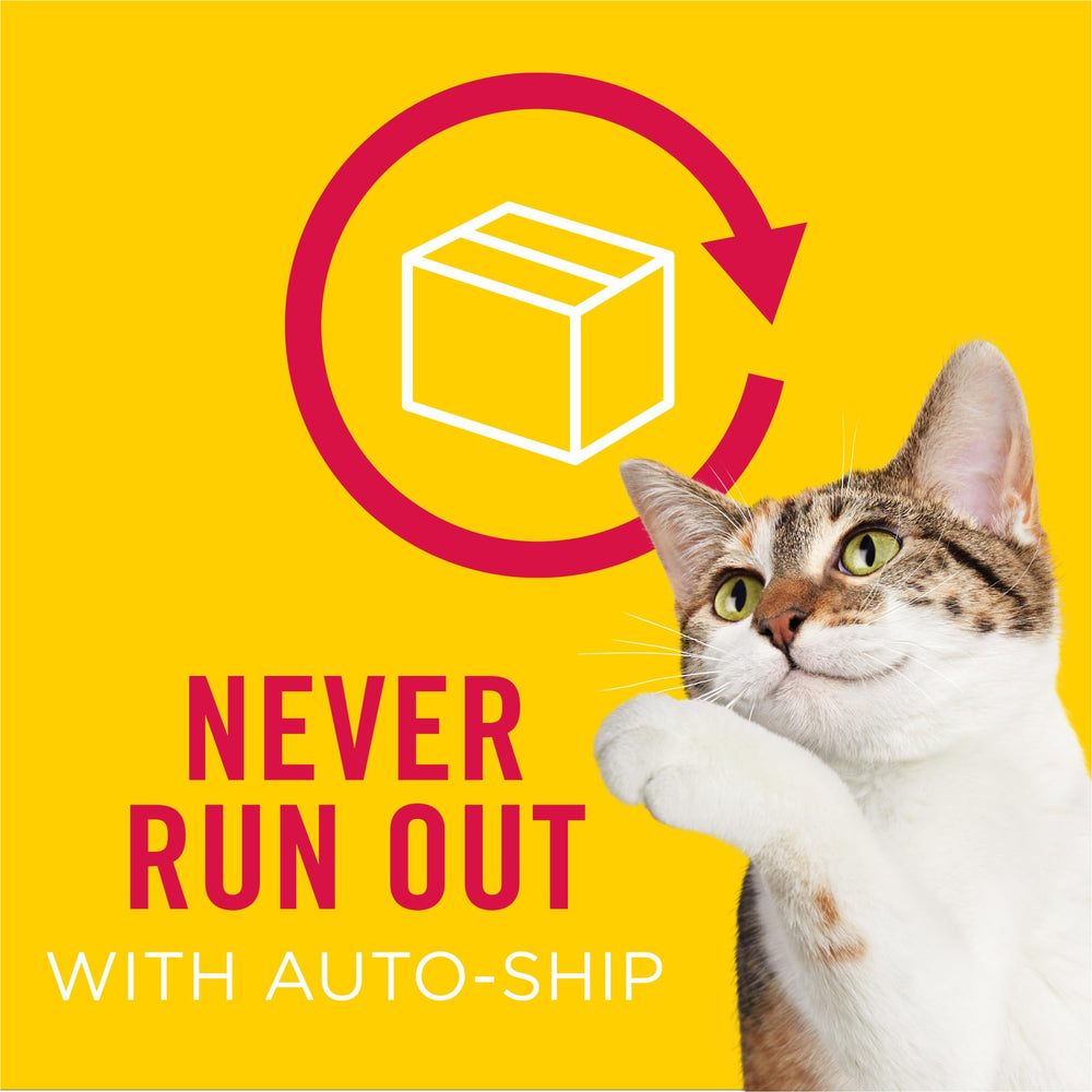 Friskies pack de 16 alignés démontrant la quantité pour plusieurs portions