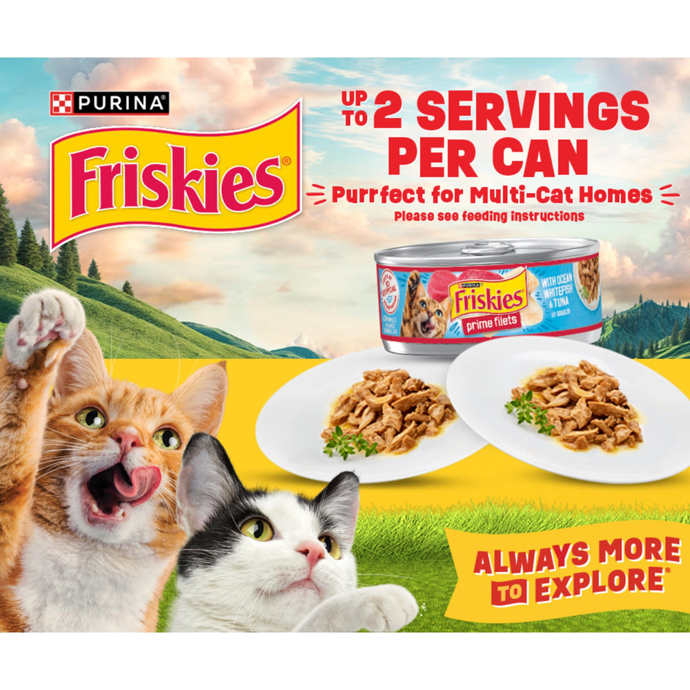 Friskies boîte recyclable illustrant l'engagement en emballage durable