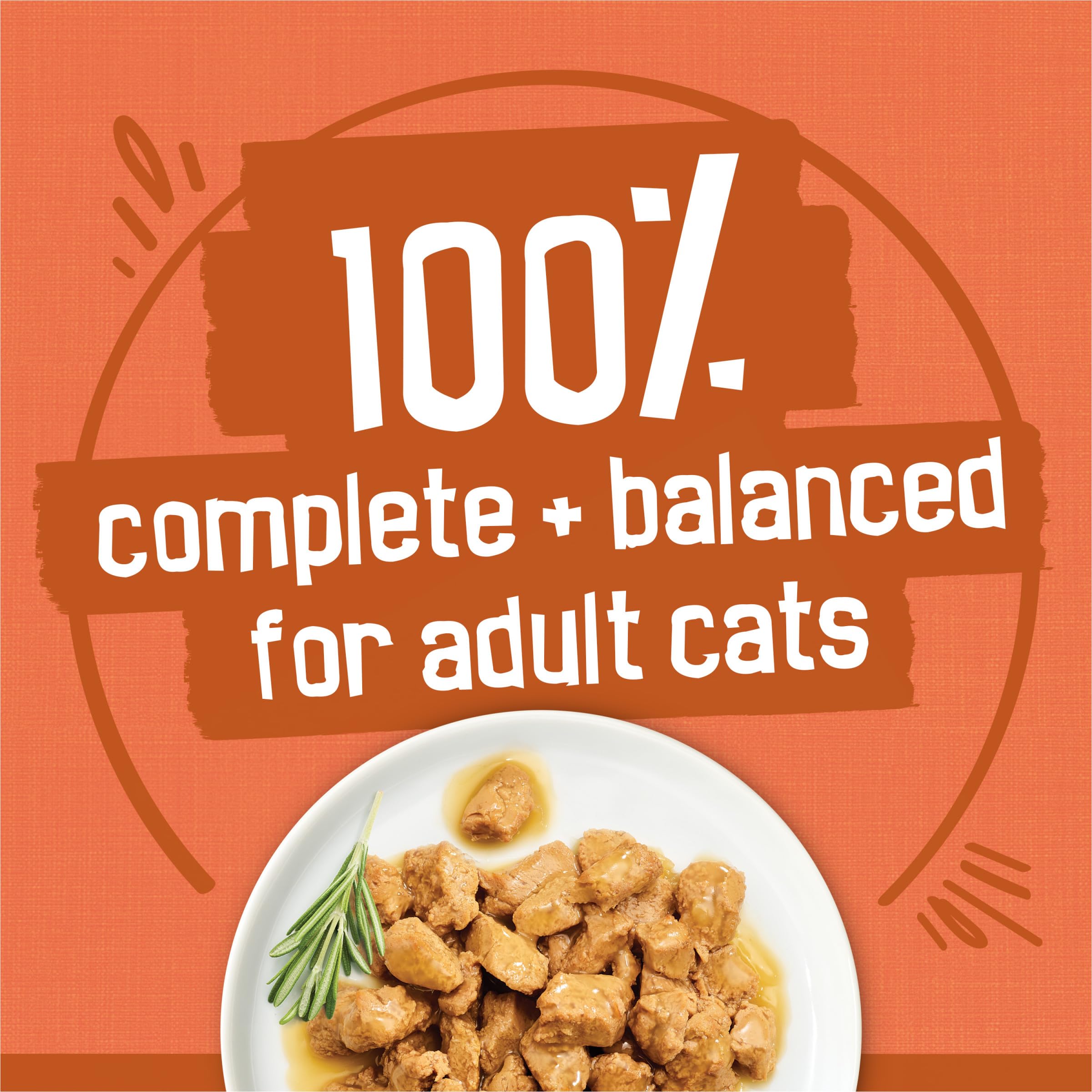 Friskies gros-plan des morceaux et texture pour appétence élevée