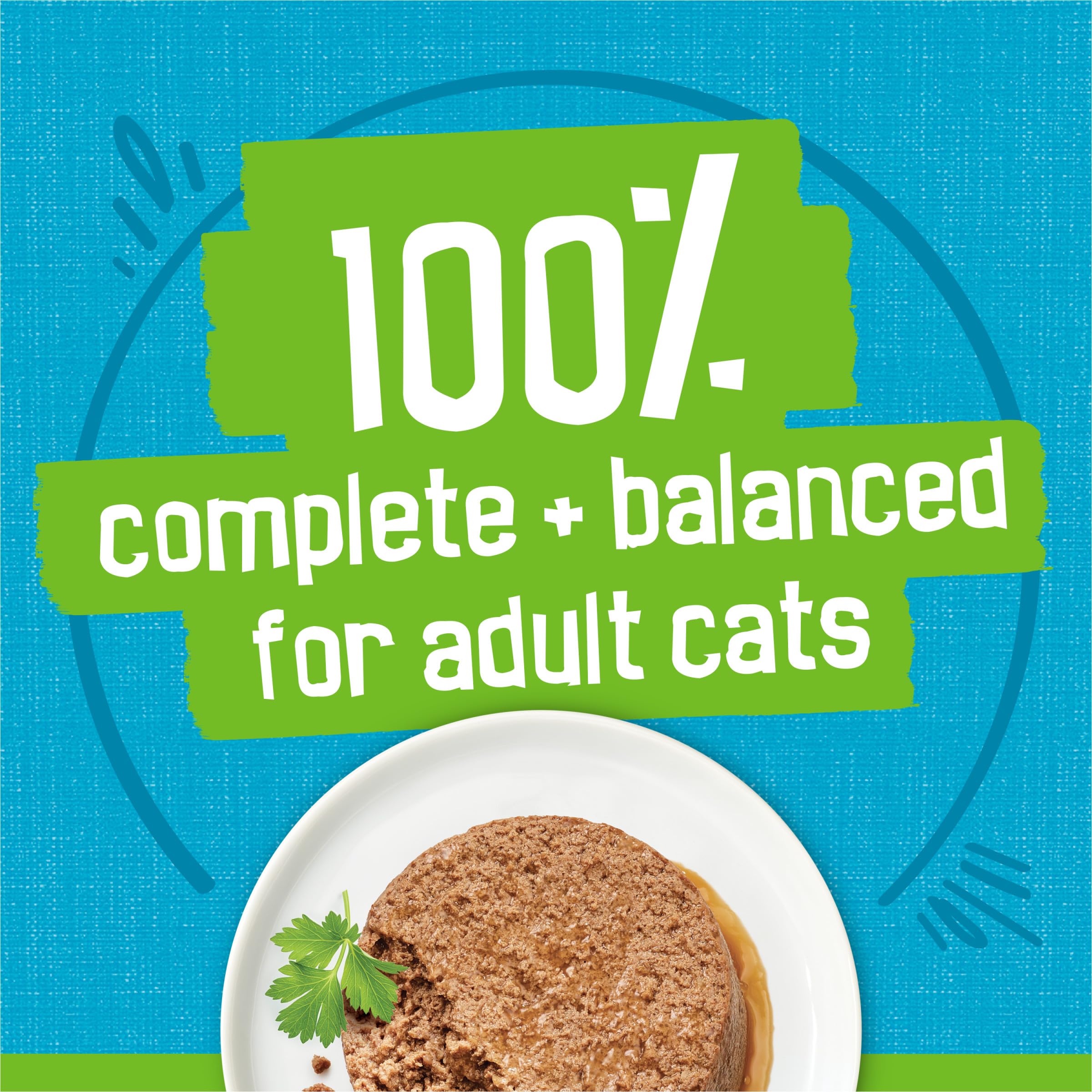 Friskies chat mangeant au bol, plaisir de manger et acceptation rapide