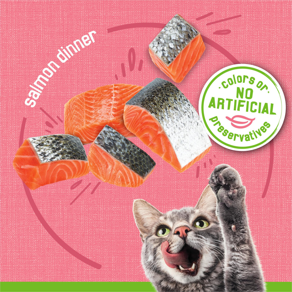 Friskies pack de 24 boîtes, approvisionnement pratique et économique