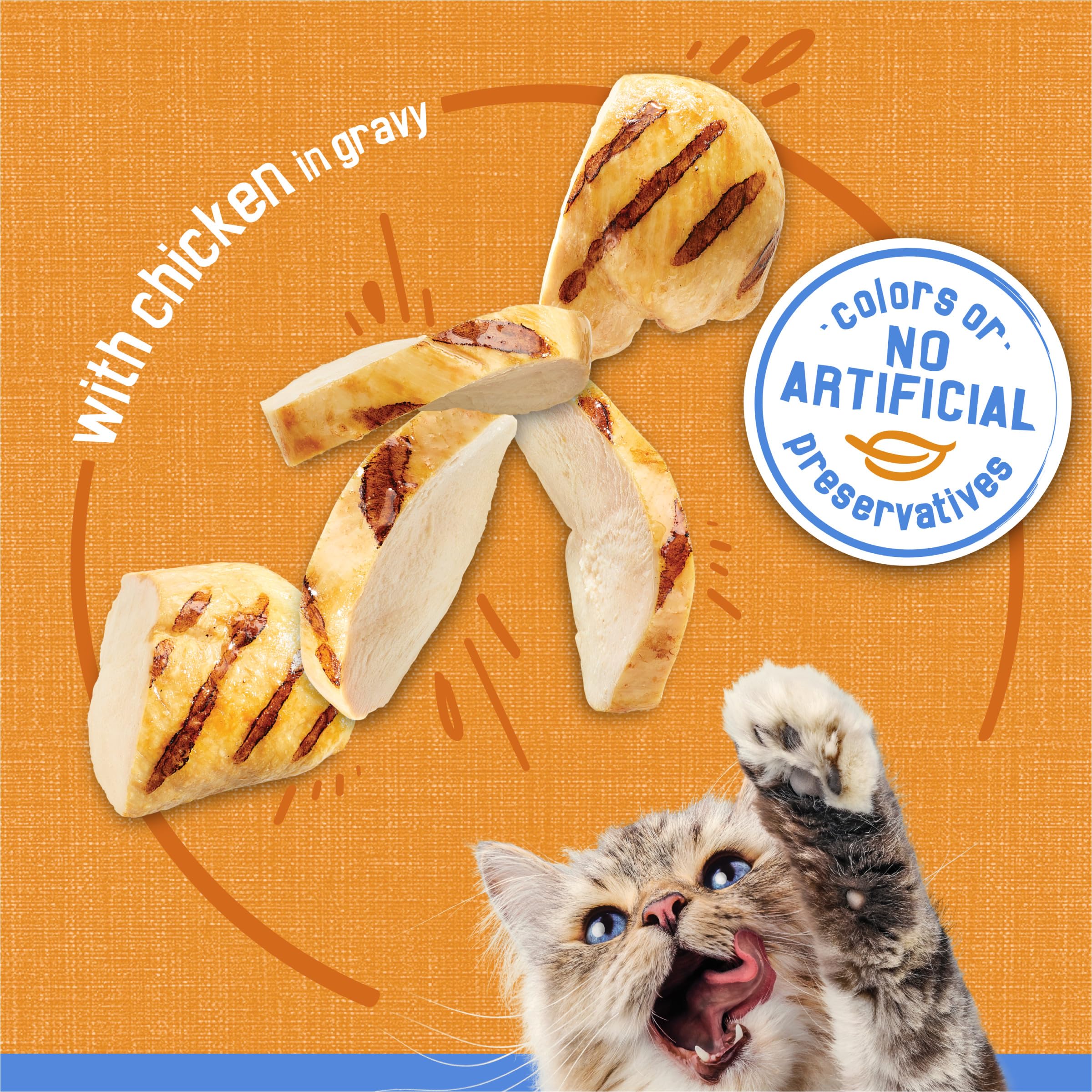 Friskies portion servie dans une assiette illustrant la présentation
