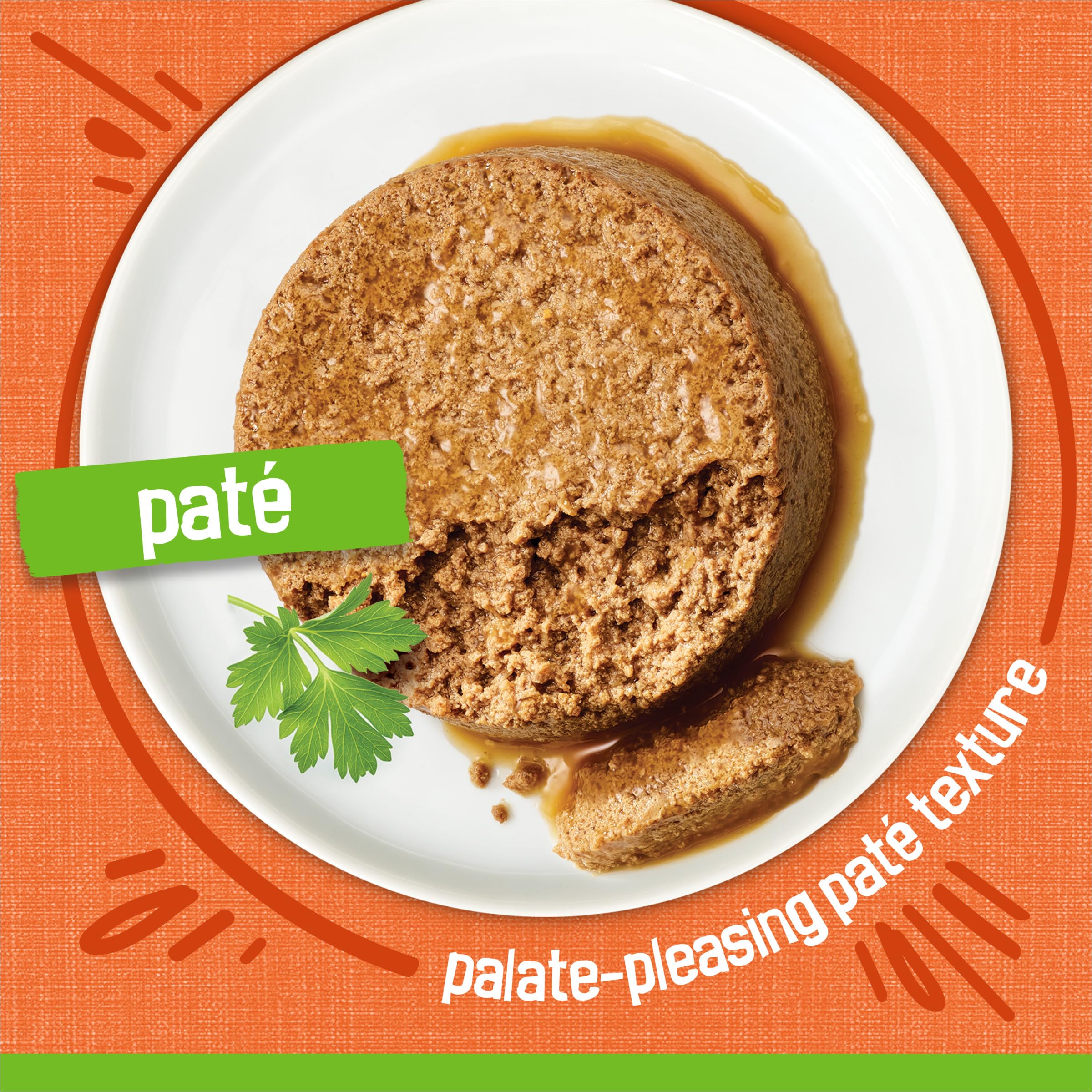 Friskies portion servie dans une assiette montrant une présentation pratique