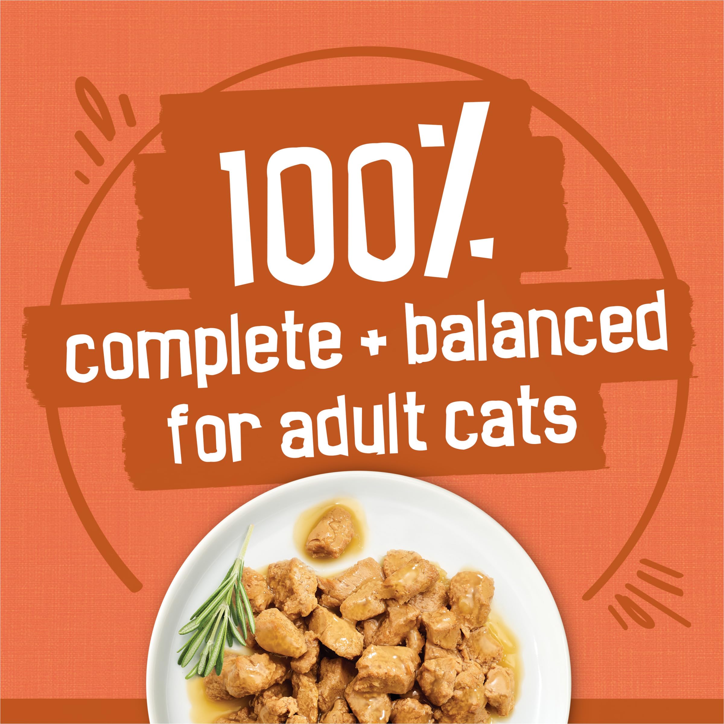Friskies portion servie dans un bol, mélange hydratation et goût