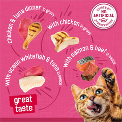 Friskies assiette servie avec sauce, met en valeur l'arôme et l'appétence