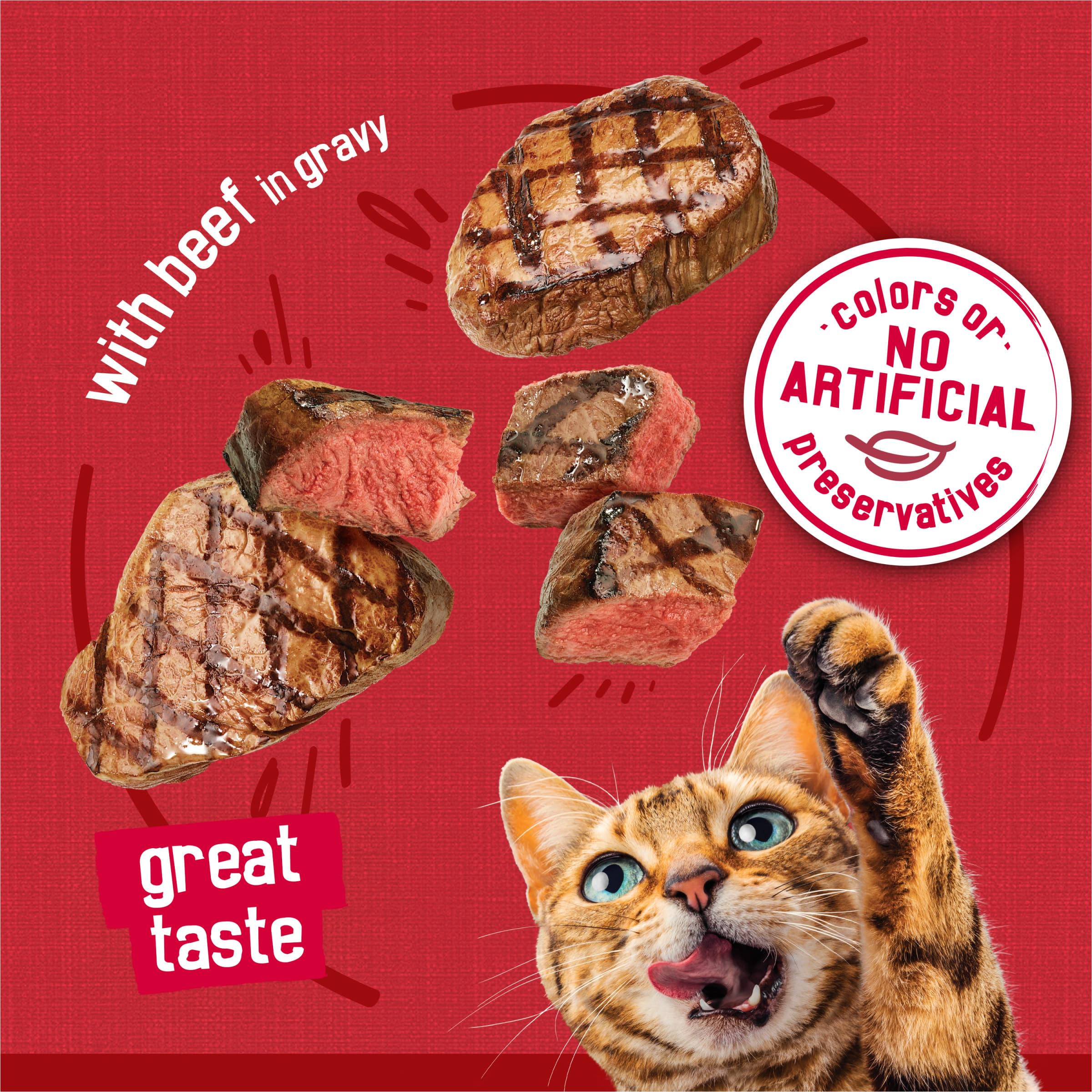 Friskies chat profitant du repas, montre acceptation et plaisir