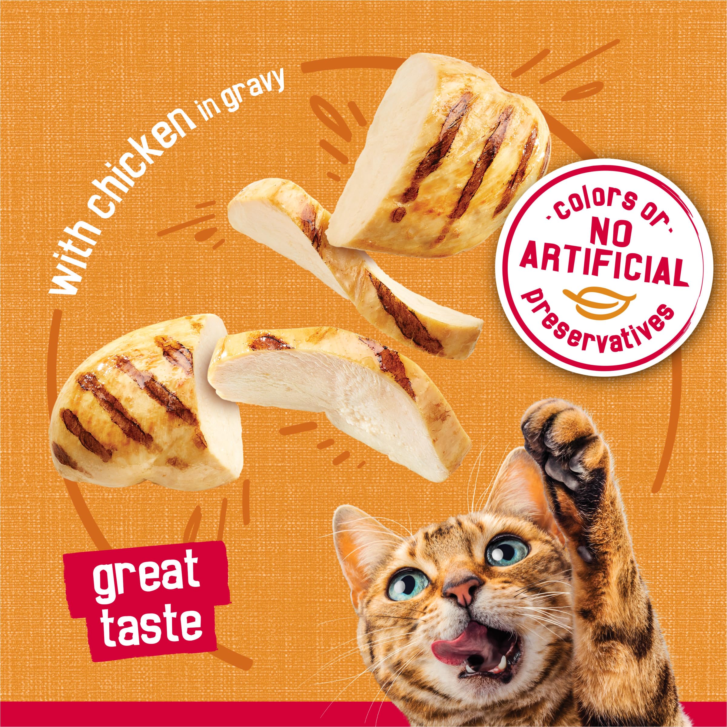 Friskies conserve servie dans une assiette illustrant une portion pratique
