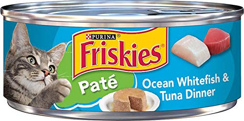 Friskies pâtée ouverte gros plan texture onctueuse attirante pour chat