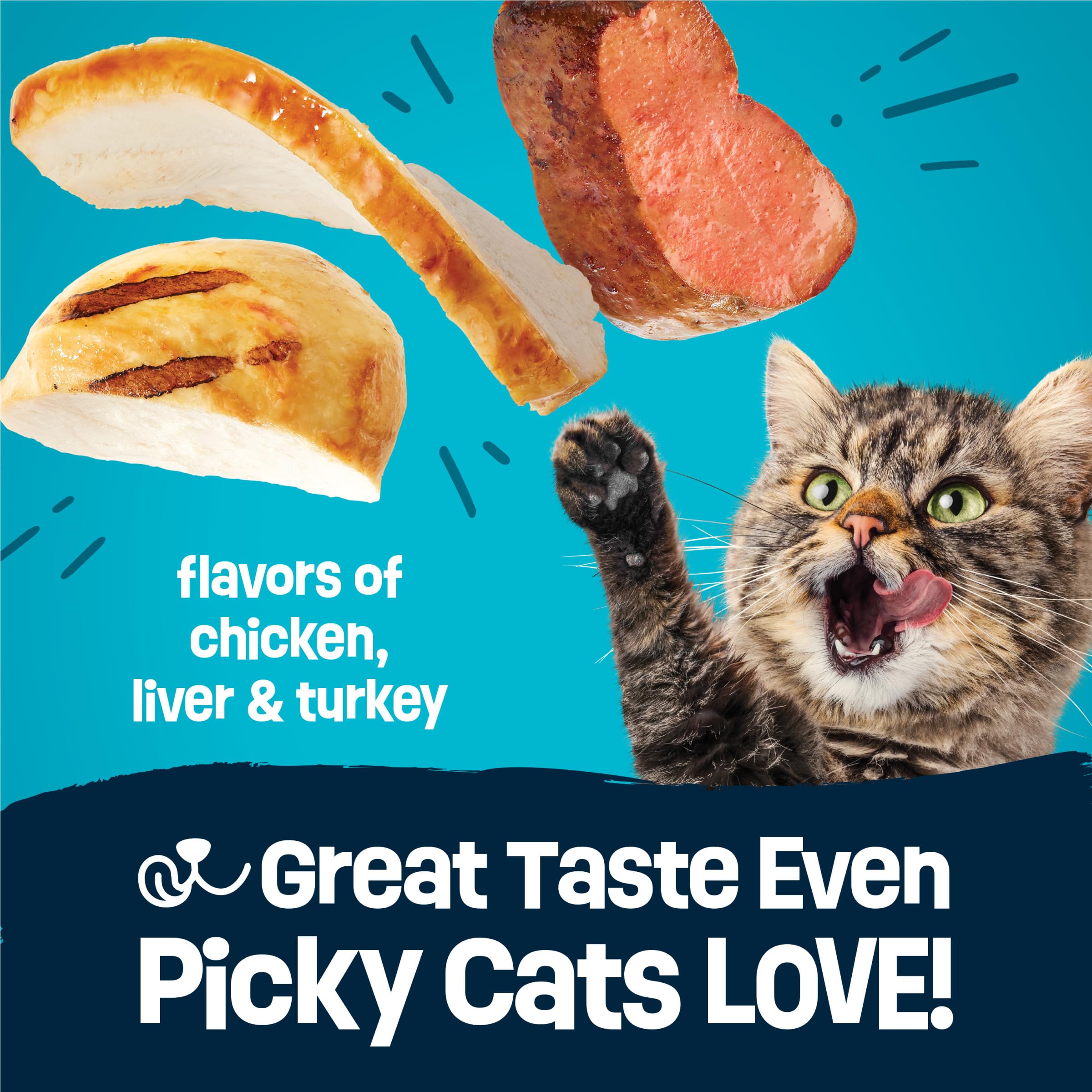 Friskies Purina bol rempli illustrant portion prête et variété