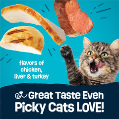 Friskies Purina bol rempli illustrant portion prête et variété