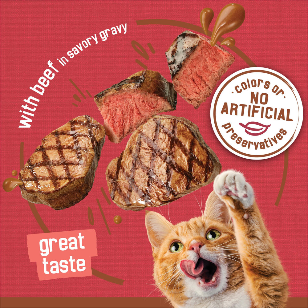 Friskies Purina chat mange contents montrant acceptation et appétence du produit