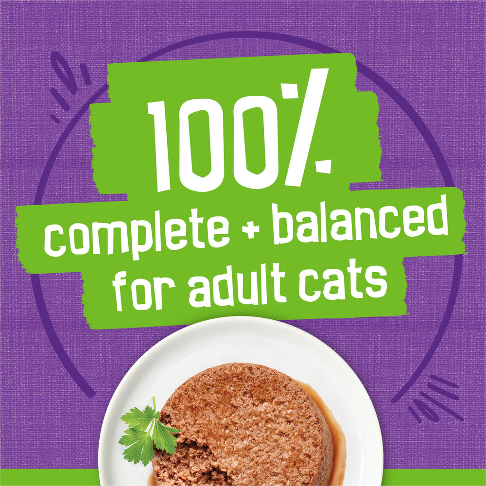 Friskies Purina chat dégustant la pâtée pour appétit stimulant