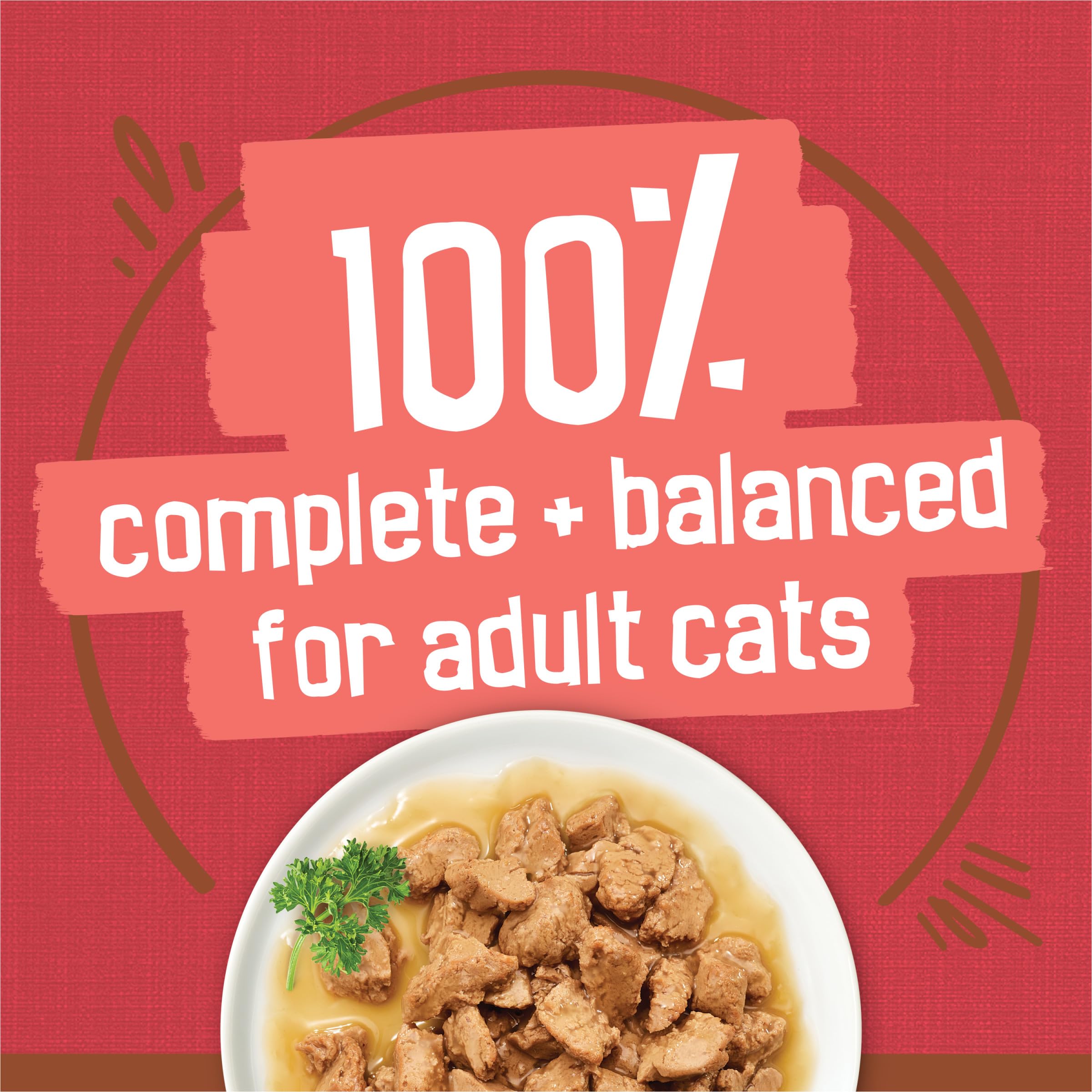 Friskies Purina comparaison taille conserve illustrant dimensions pratiques et portions individuelles